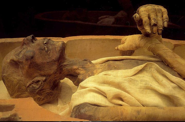 mummy